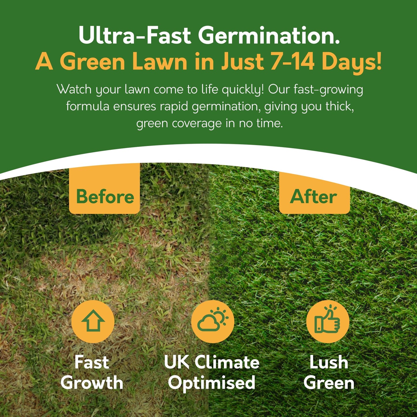 Pronto Seed Premium Grass Seed 1.4 kg - Fast Growing, Hard-Wearing - Covers 84m² for Lawns & Overseeding - DEFRA Approved & Tailored for UK Climate (1.4kg)