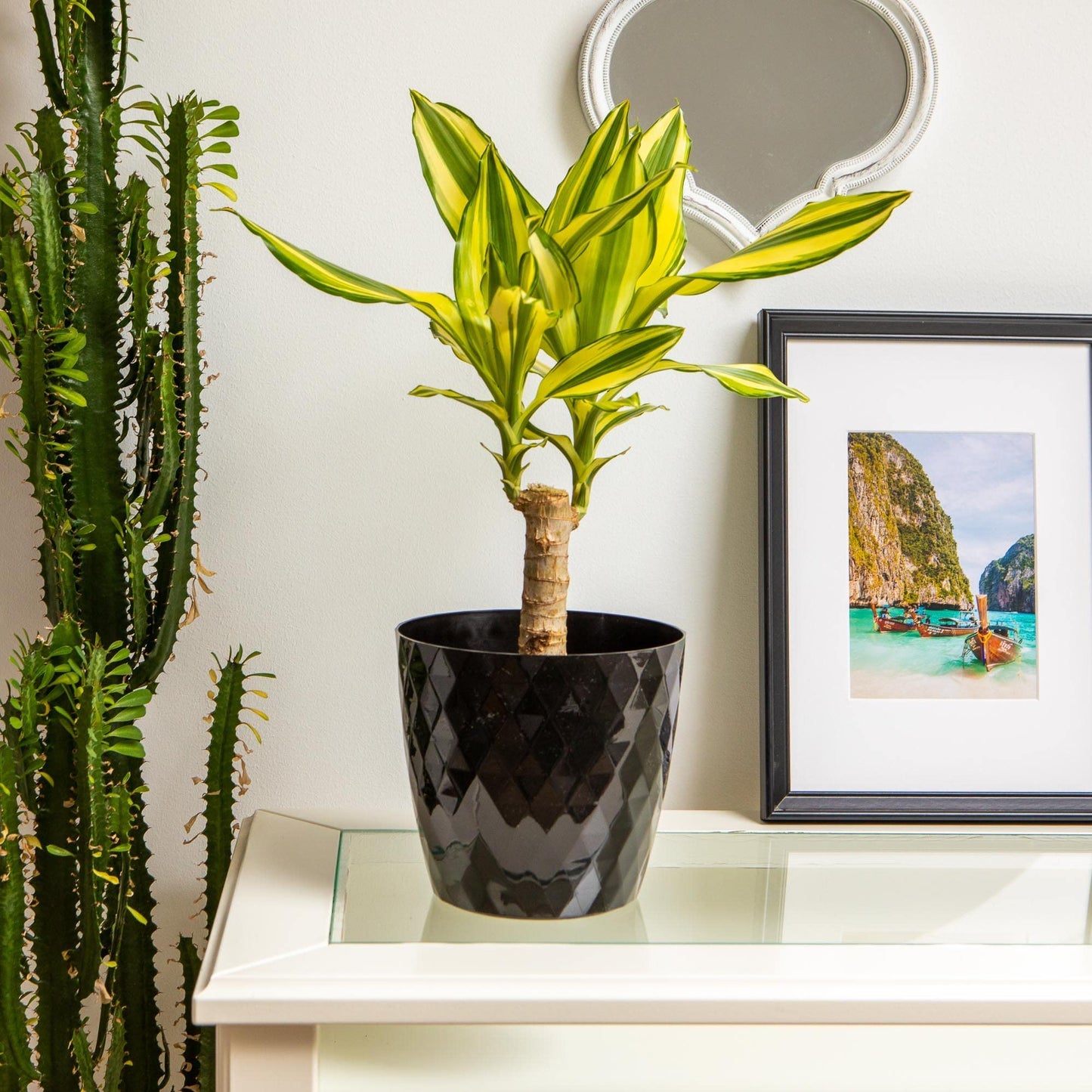 Home Garden Ornaments Black Plant Pots Indoor 12cm Diameter ā Round Plant Pot with Glossy Crystal Surface ā Decorative Flower Pot ā Plastic Flower Pots Outside (Ć12cm, Black Crystal)