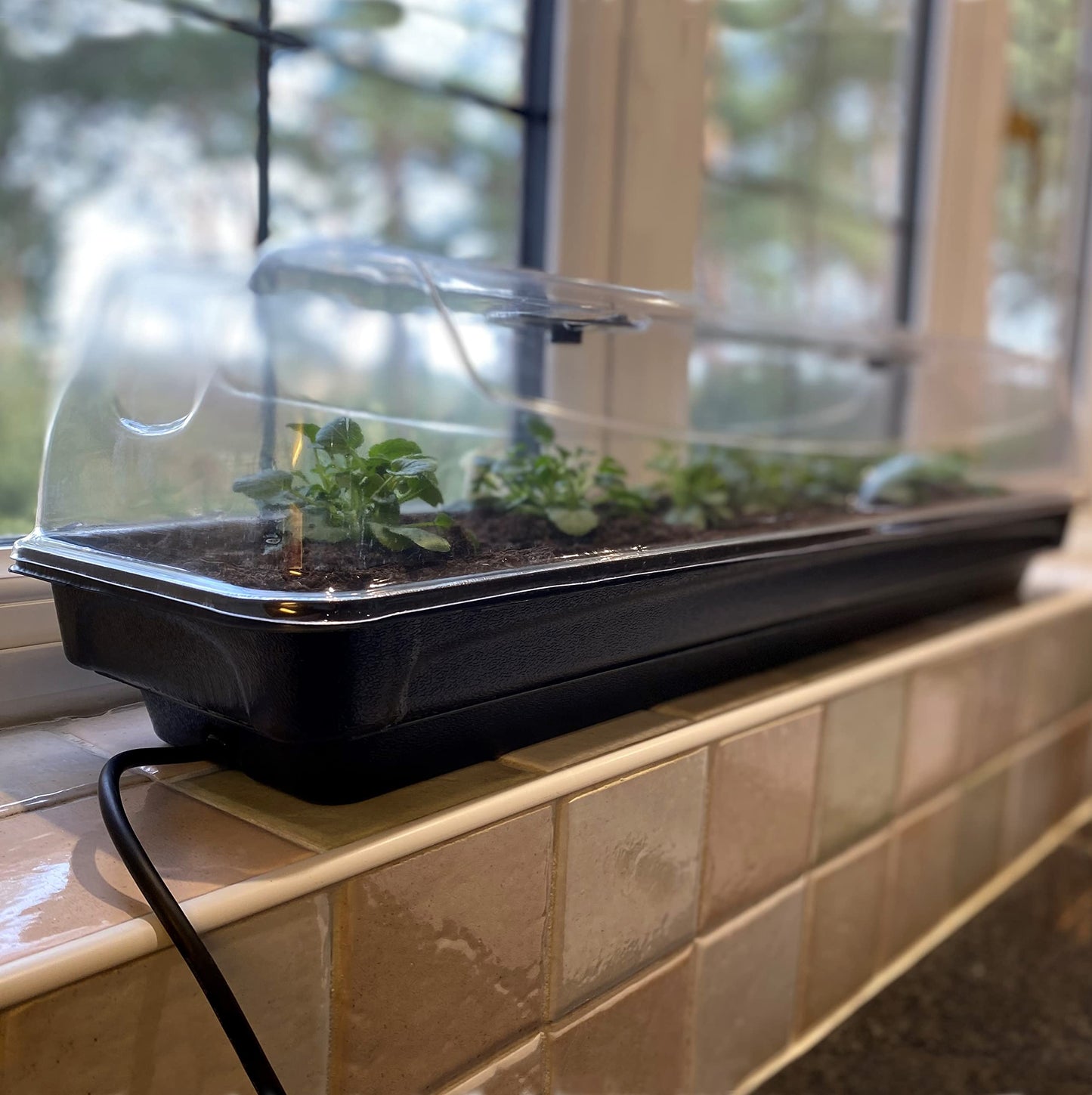 Selections Jumbo Windowsill Heated Plant Propagator (80cm)