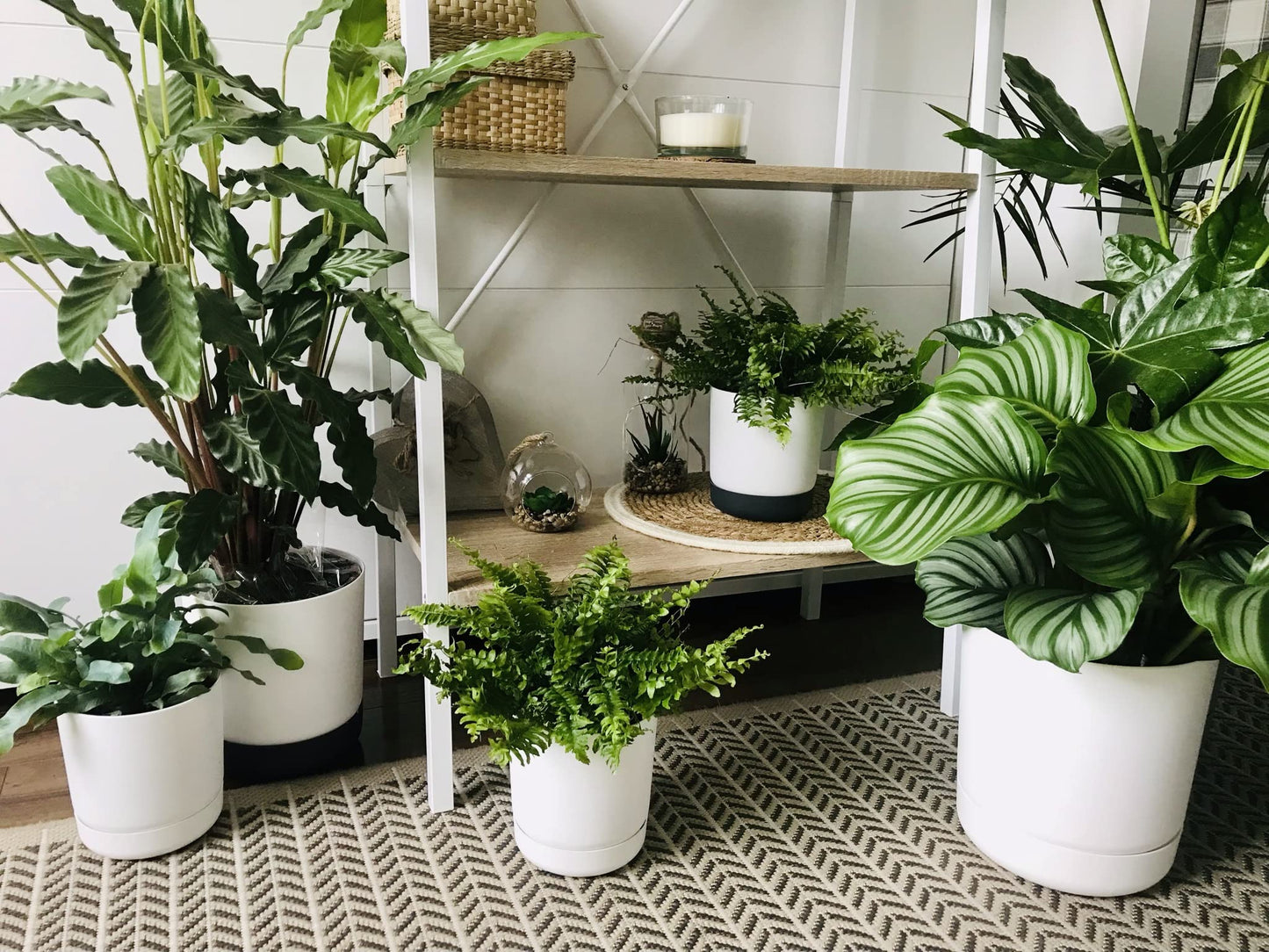 SPARKLE PLANTS Satina Indoor Plant Pots, 5 sizes – White Plant Pot with Drainage Holes and Matching Saucer for All Houseplants – Modern Home Decor Round Flowerpot Stand (13 cm, White)