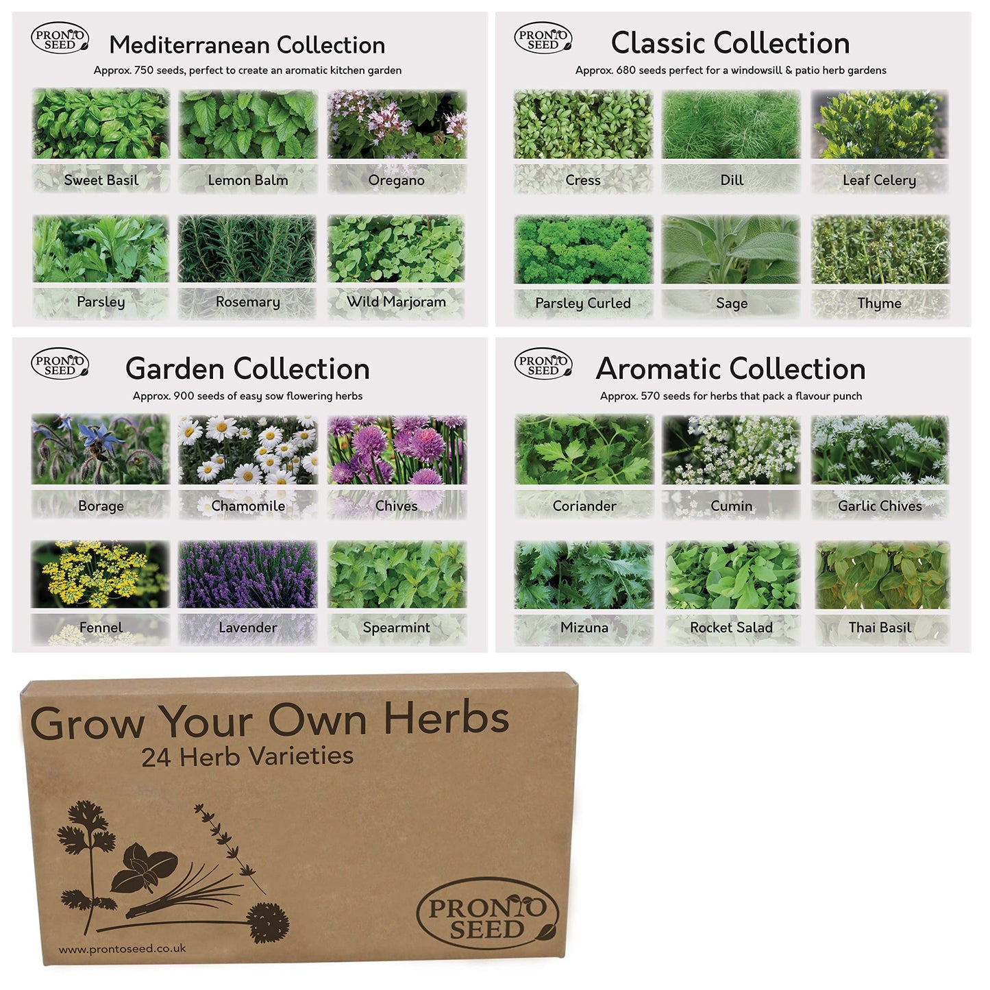 Pronto Seed Herb Bumper Pack - Grow Your Own Kit with 24 Herb Varieties - Aromatic, Mediterranean, Garden & Classic Herbs - Gardening Gift for Women and Men (Herb Pack)