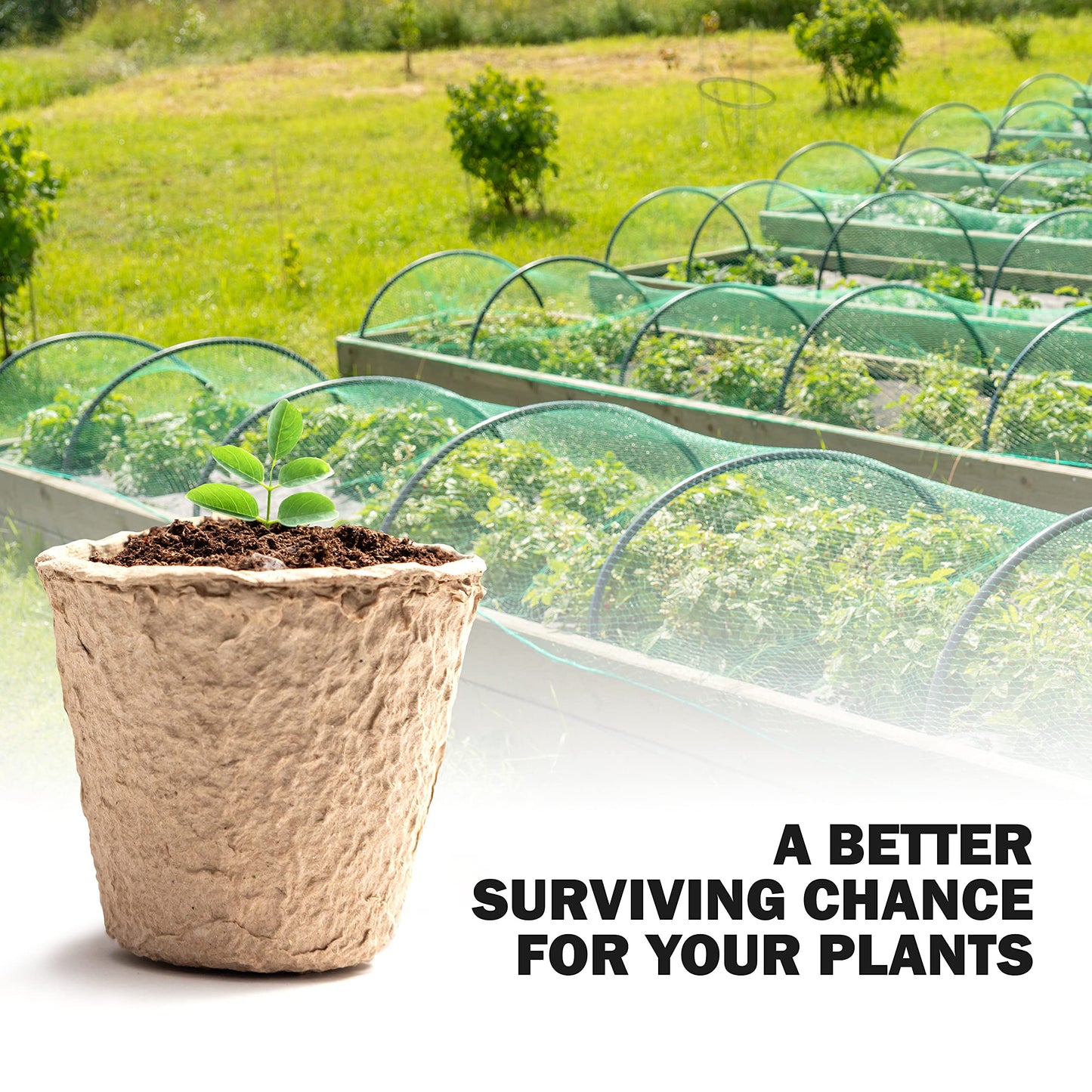 KEPLIN 96 Piece Round Biodegradable Organic Fibre Seedling Pots for Plant Cultivation Compostable Containers Easy to Transplant Ideal for Garden & Greenhouse Starter Items (5x6cm)