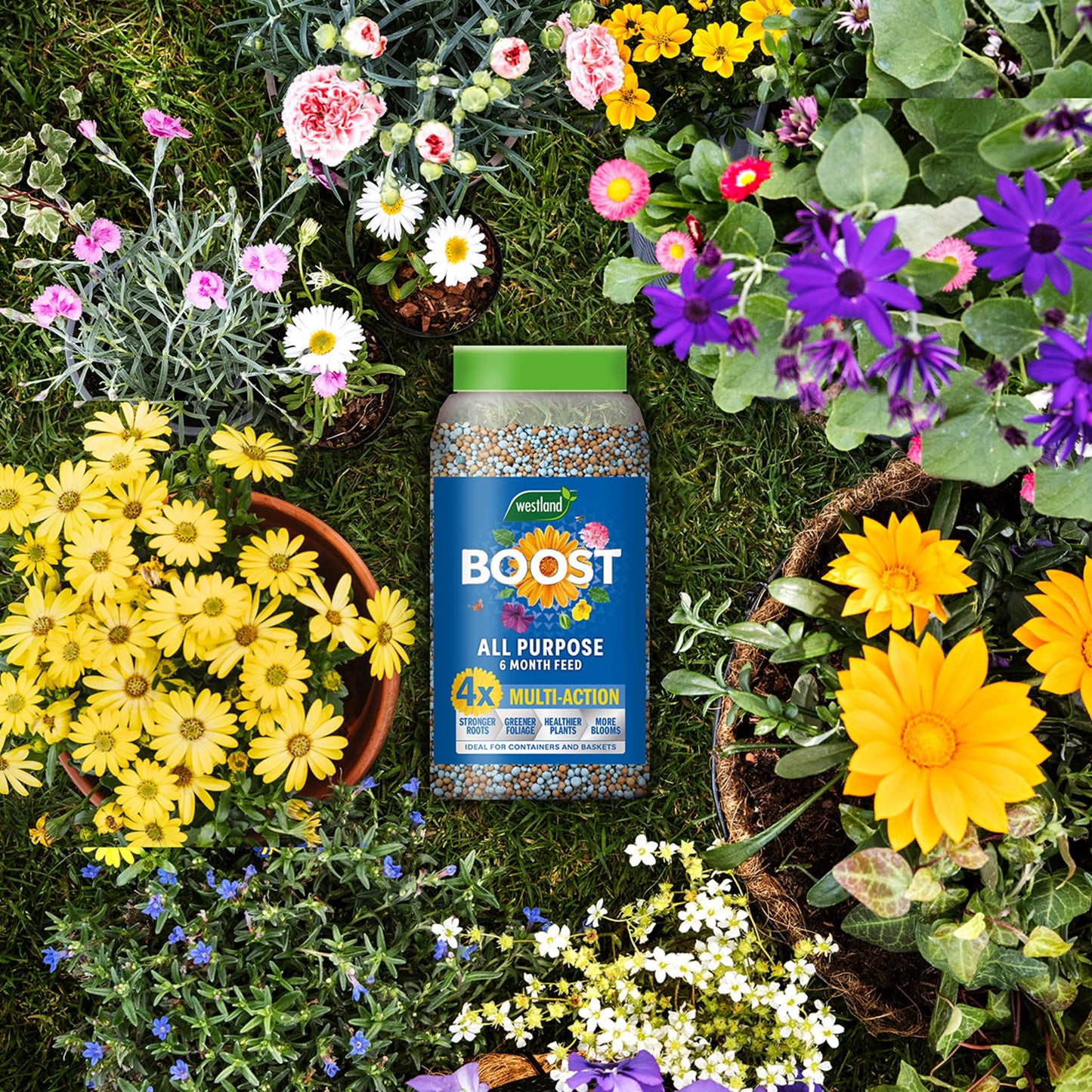 Westland Boost Slow Release Plant Food 750g, Blue