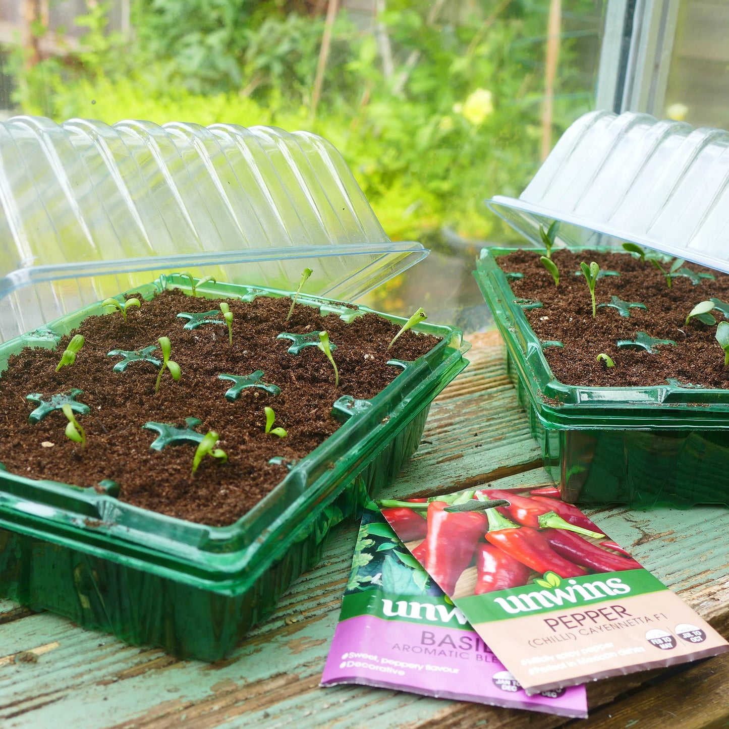 Gro-Sure 70200227 Visiroot twin Propagator Set kit, Green