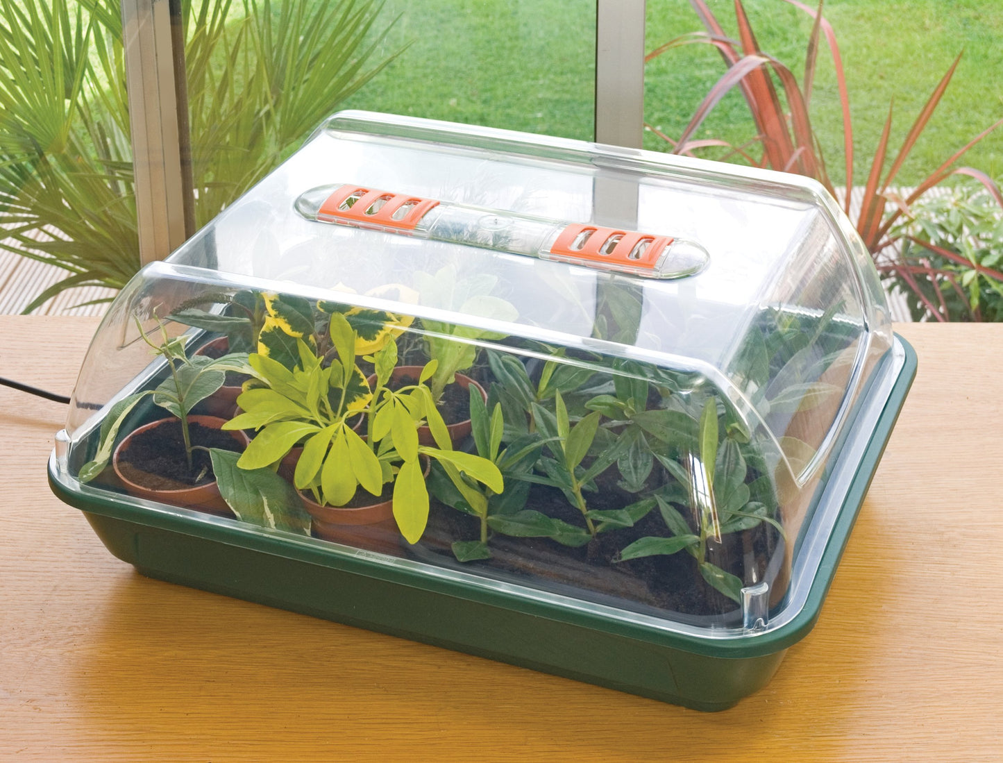 Sankey Grostart Unheated Propagator 52cm