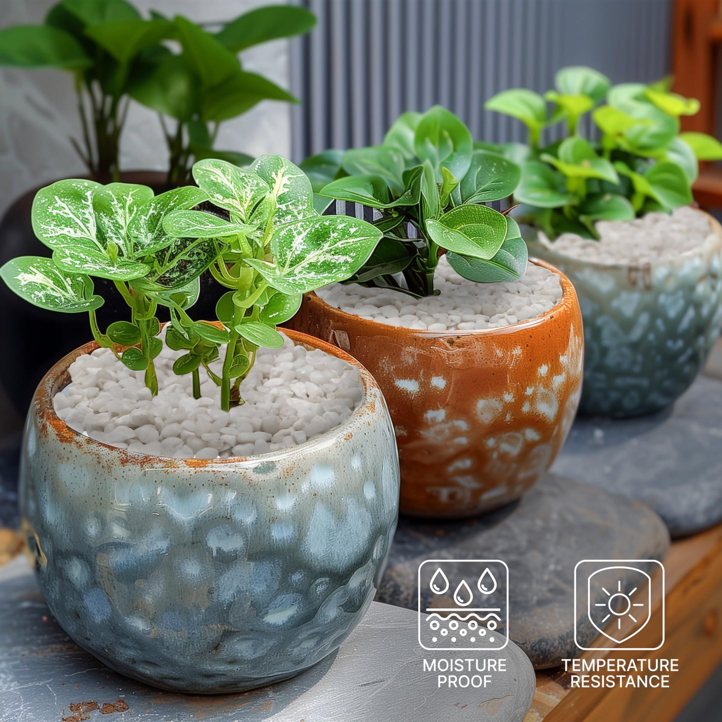 BELLE VOUS White Decorative Garden Stones (3.6kg Bag) - Natural Mixed River Gravel - Small Pebbles for Plant Pots, Vase Filler, Landscaping, Aquariums & Home