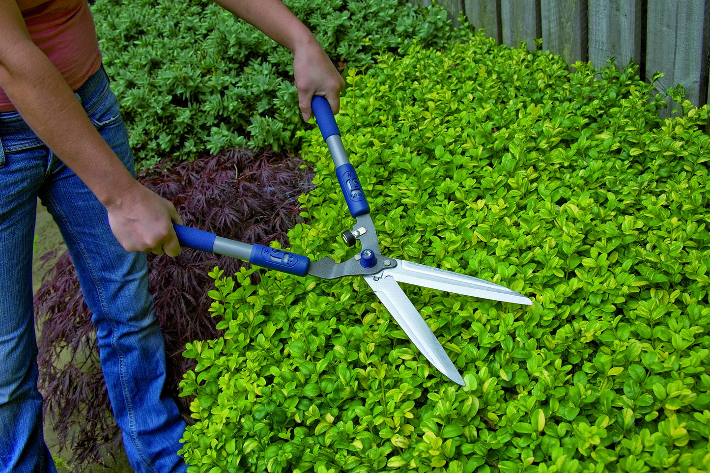 Spear & Jackson 4862RSA Razorsharp Active Soft-Grip Hand Shear