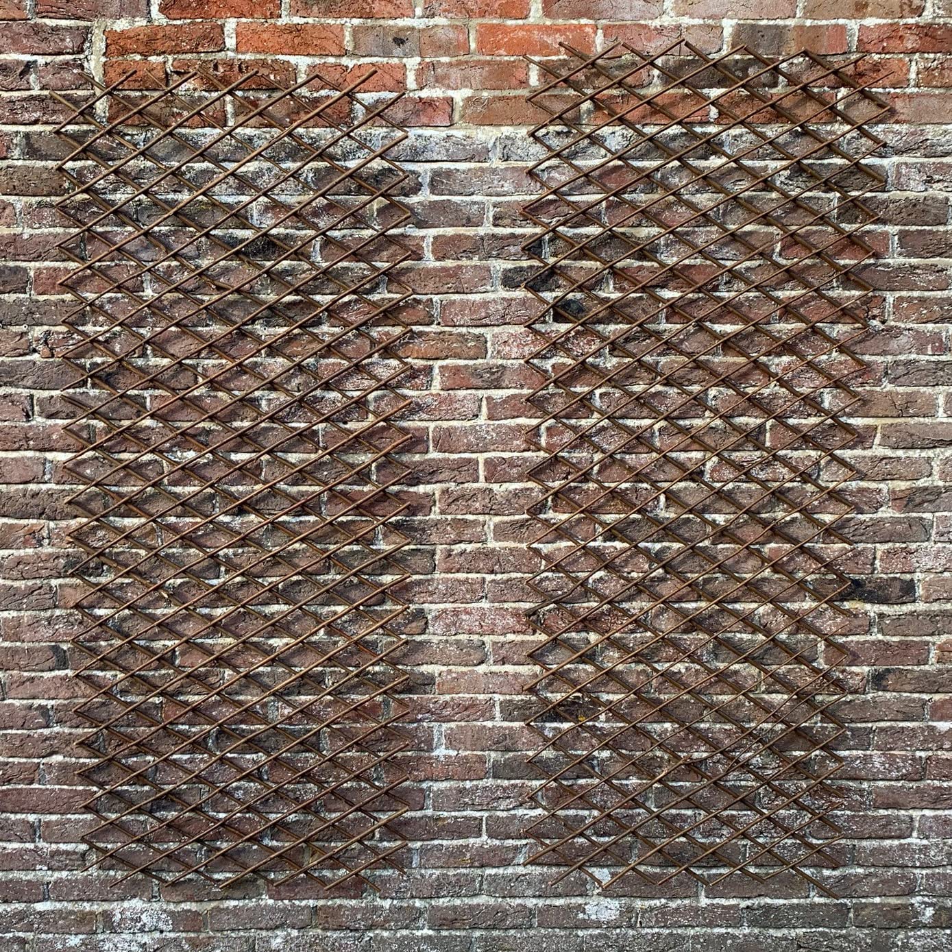 Selections Pack of 2 Expanding Willow Fan Garden Wall Trellis (180 x 60 Centimeter)