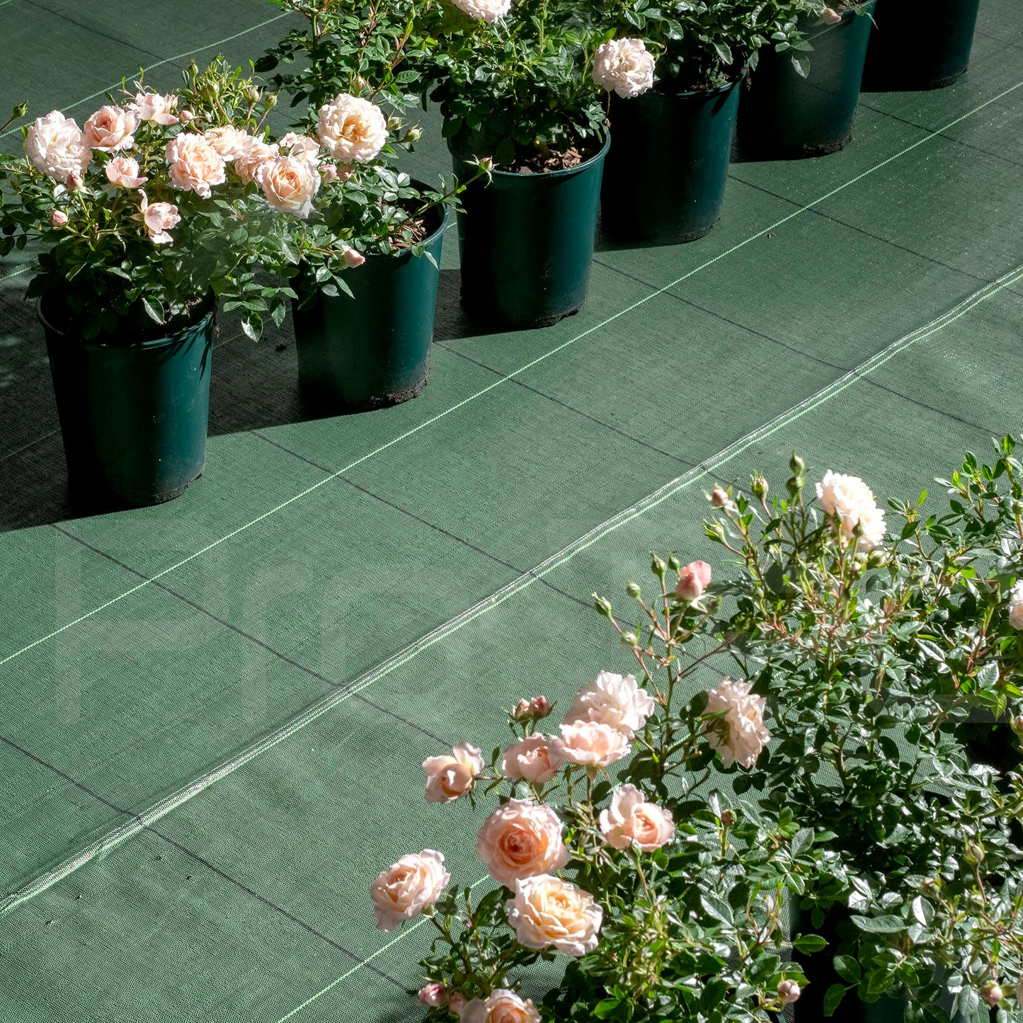 Pro-Tec 130gsm Commercial Grade Super Heavy Duty 1,2,3,4,5m Wide Weed Control Fabric Garden Ground Cover Membrane (3m x 10m)