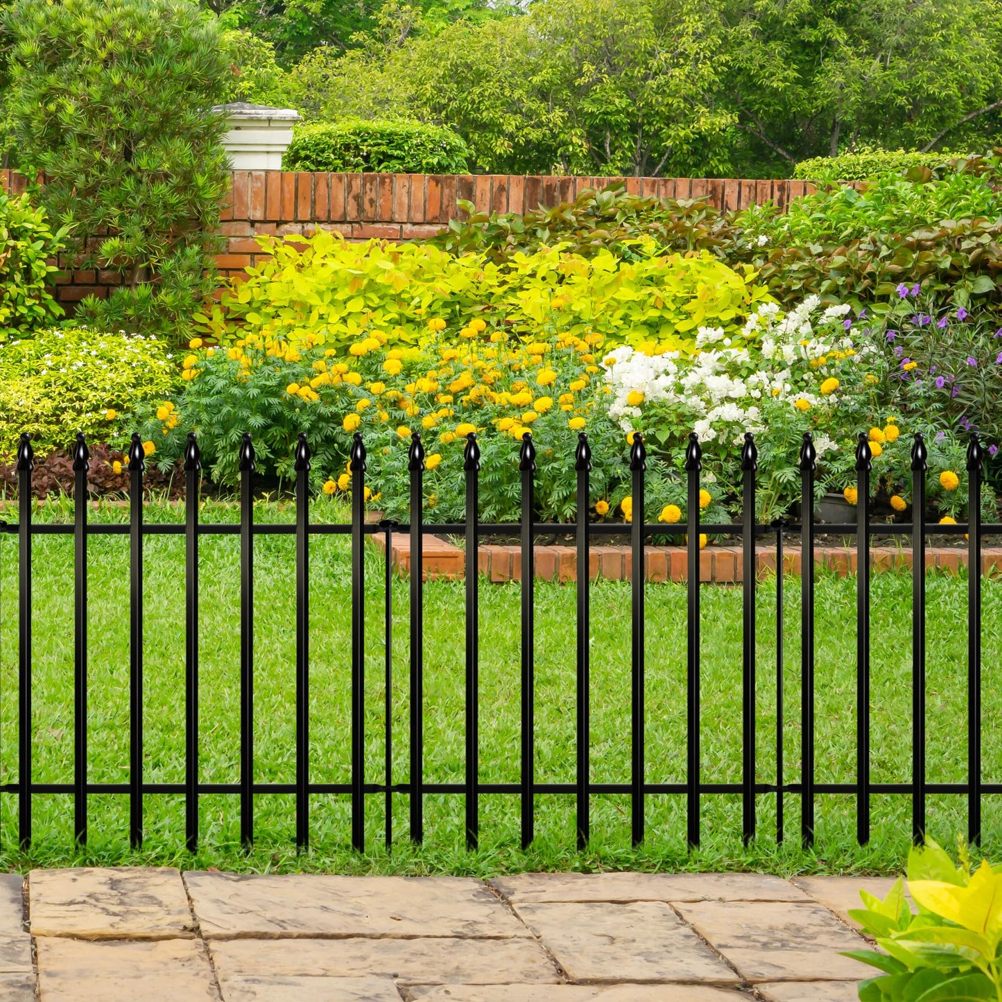 ARIFARO Decorative Metal Garden Fence 61cm high x 61cm Wide 5 Pack, Animal Barrier for Dog Pet, Border Garden Fencing for Outdoor Patio Lawn Yard Flower Bed