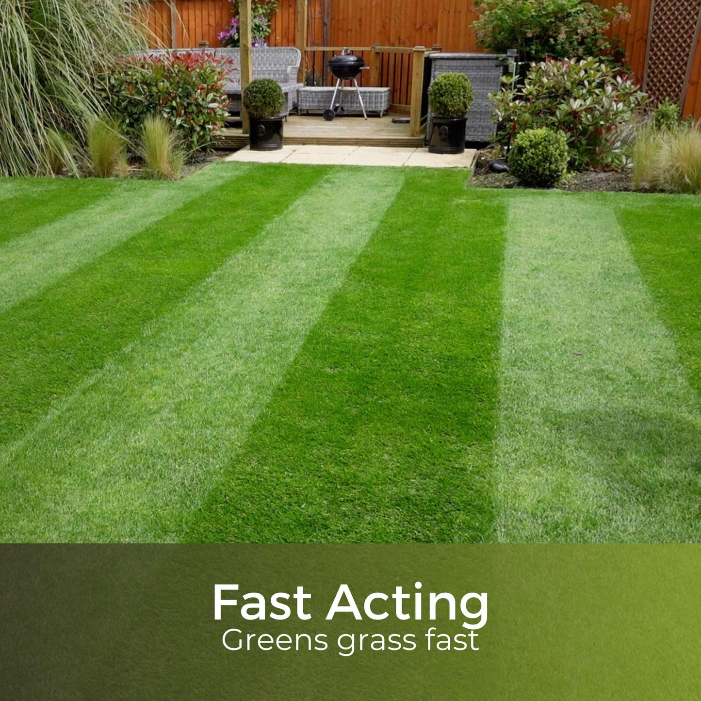 Dark Green Lawn Fertiliser - High in Nitrogen Greens Grass Fast - Feeds up to 90 Days - Child and Pet Friendly - Garden Lawncare Guy