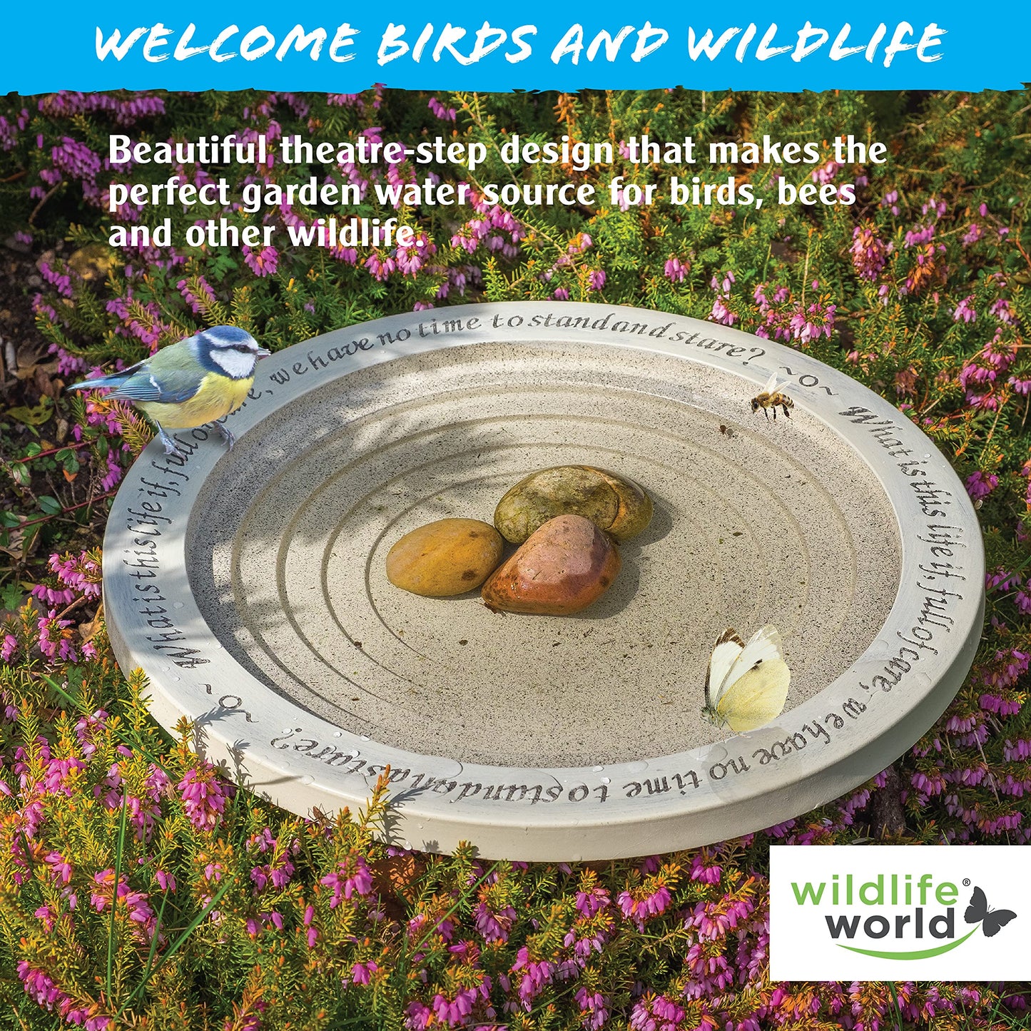 Wildlife World BSHBB2 Shenstone Bird Bath and Drinker Plate - Made from Sustainable Materials, Yellow, 4.72 in*17.52 in*17.52 in