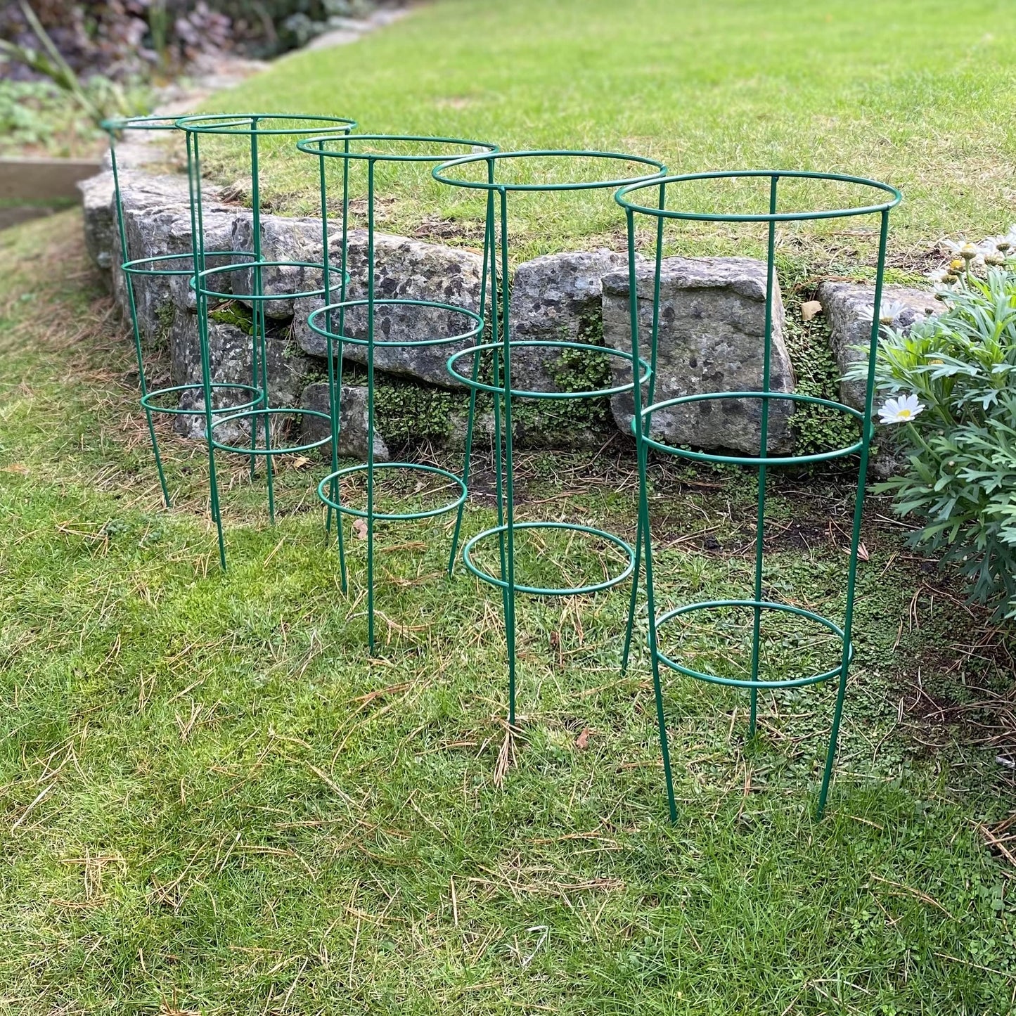 Selections Pack of 5 (48 Centimeter) Conical Garden Plant Support Rings