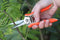 Amazon Brand – Eono 6.5Inch Micro-Tip Pruning Snip Leaf Trimmer Gardening Hand Pruning Shears with Stainless Steel (Orange)