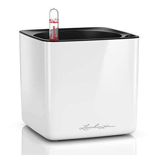 LECHUZA Self Watering Plant Pots Indoor CUBE Glossy 14 Small Plastic Planter without Drainage Hole H14 L14 W14 cm White High-Gloss