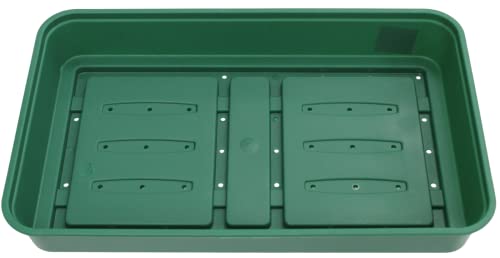 Rammento 38cm Medium Propagation Kit with Seed Tray & Dome Lid | Windowsill Greenhouse, Plastic Propagator for Plants | Indoor Gardening Set