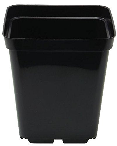 PLANT IT 10 cm 0.7 Litre Square Plastic Pot - Black
