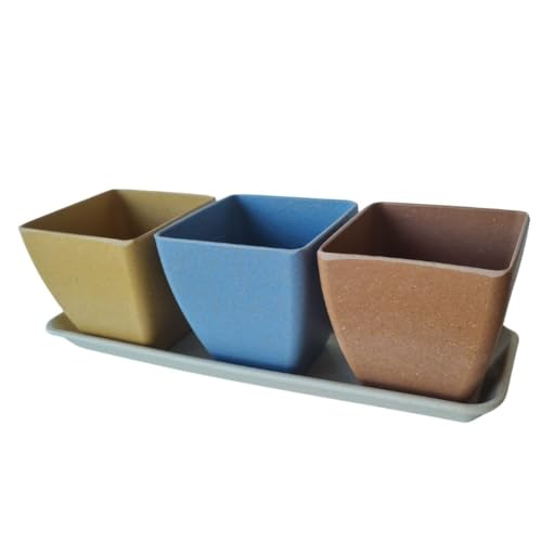 Haxnicks Windowsill Plant Pot Set, Rice Husks, Multi Colour, L29.5 x W10 x H10cm