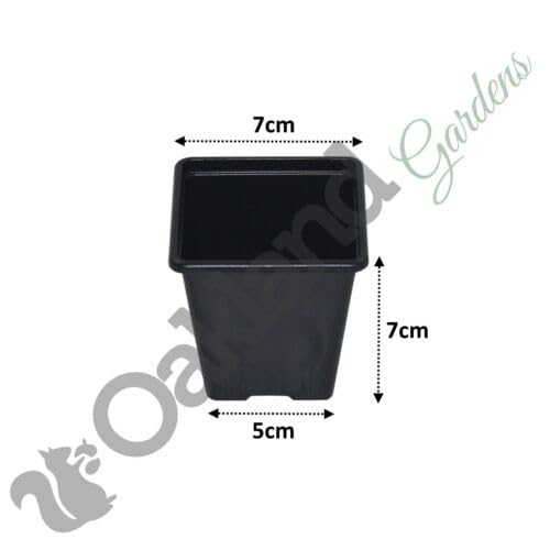 Oakland Gardens Premium Square Plastic Plant Hydroponic Pots - 7cm Plant Pots Pack of 100