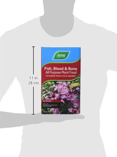 Westland 20600010 Fish, Blood and Bone All Purpose Plant Food, 1.5 kg