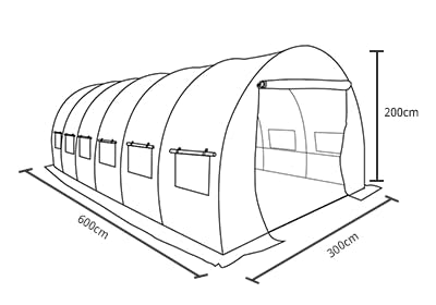 POLYTUNNEL 6M X 3M 6 SECTION GREENHOUSE FULLY GALVANISED STEEL FRAME POLY TUNNEL