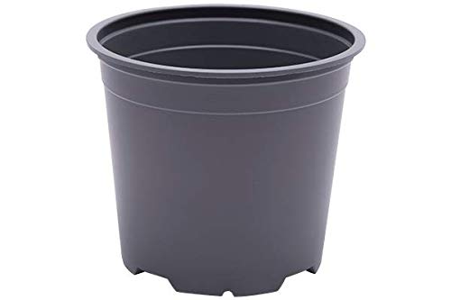 50 x 13 cm Plant Pots / 1 Litre Flowerpots [ Recycled & Recyclable ]