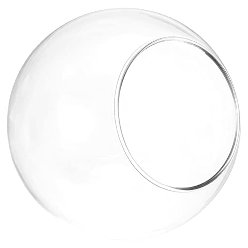 PATIKIL 4 Inch Round Glass Globe Terrarium Planter