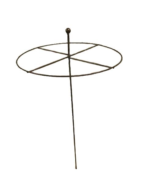 GAP GARDEN PRODUCTS Metal Rust Simple Circle Plant Support (pack of 8 or 6) Ideal plant support for dahlias, delphiniums etc (6, Rustic Patina)