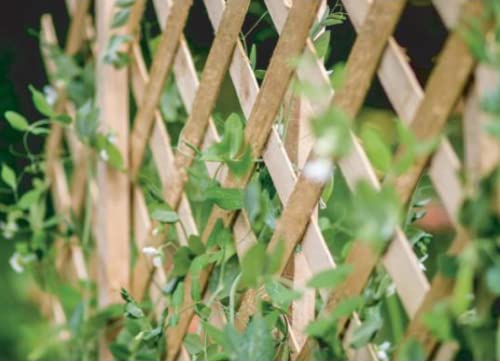 Expanding Wooden Trellis Garden Trellis for Climbing Plants Fence Panel, Ideal for Fence Trellis, Wall or Shed for Patio Garden, 180x120 cm, Natural