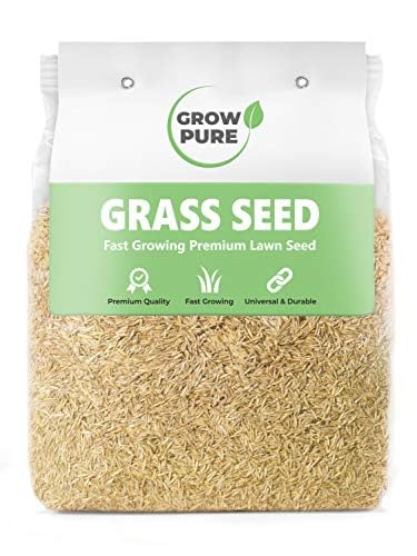 Grass Seed (500g Covers up to 30 sqm) Fast Growing Grass Seed for Quick Lawn Patch Repair and New Lawns. 500g Hard Wearing Suitable for Shade and UK Climate.