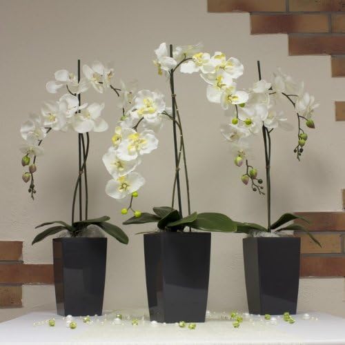 Stolmet Tall Square Planter - Available in Glossy White or Glossy Graphite - Modern Design (Graphite, 30L)