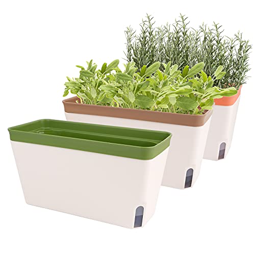 Self-Watering Windowsill Herb Planters, Set of 3