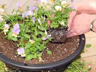 Trendi®Easy Filling Hanging Baskets/Planters Black 15"/ Indoor Outdoor Garden Porch Decoration With Chain 46cm (2 x Hanging Baskets)