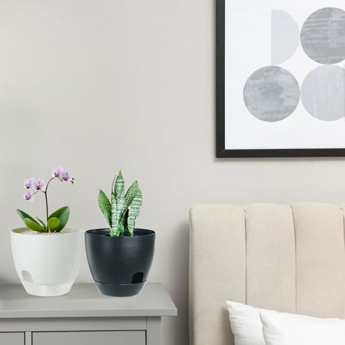 IWTTWY Self Watering Plant Pot Set Pack of 3, 15cm Clear Plastic Flower Pots, Planters for Indoor with Drainage Maintains, Seed Seedling Pots for Orchid, African Violet, Rose, Tulips (White - Clear)