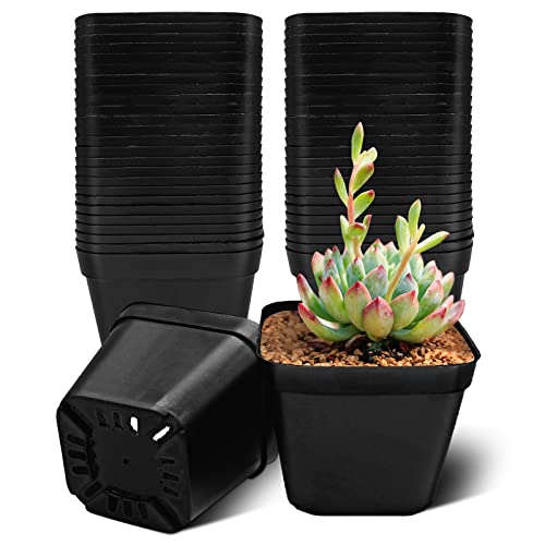 WAIZHIUA 10cm Square Plastic Nursery Pots – 50 Pack
