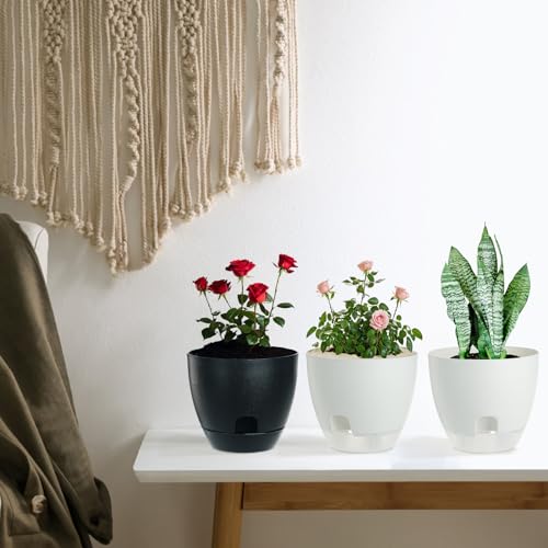 IWTTWY Self Watering Plant Pot Set Pack of 3, 15cm Clear Plastic Flower Pots, Planters for Indoor with Drainage Maintains, Seed Seedling Pots for Orchid, African Violet, Rose, Tulips (White - Clear)