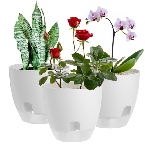 IWTTWY Self Watering Plant Pot Set Pack of 3, 15cm Clear Plastic Flower Pots, Planters for Indoor with Drainage Maintains, Seed Seedling Pots for Orchid, African Violet, Rose, Tulips (White - Clear)