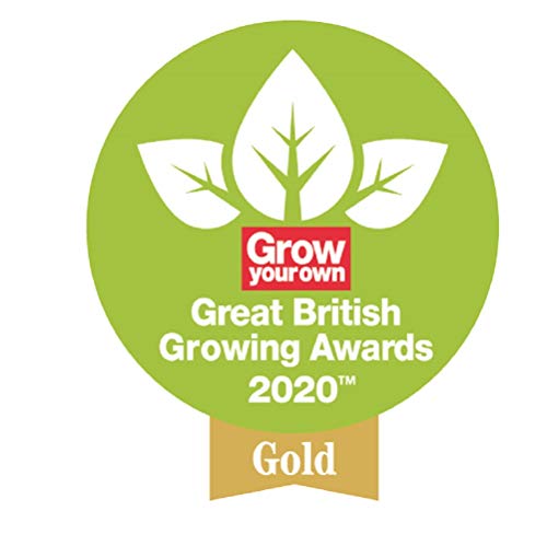 Spear & Jackson 3090KEW Kew Gardens Collection 12" Stainless Steel Weedfork, Blue