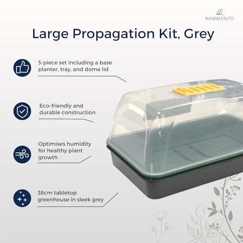 Rammento 38cm Medium Propagation Kit with Seed Tray & Dome Lid | Windowsill Greenhouse, Plastic Propagator for Plants | Indoor Gardening Set
