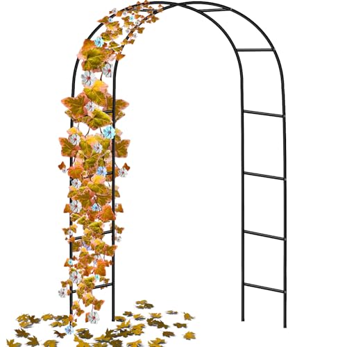 Crystals 2m Metal Garden Arch for Climbing Plants