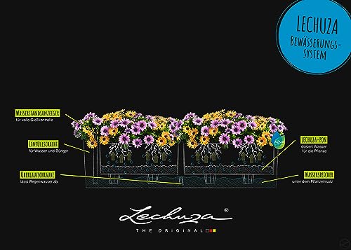 Lechuza BALCONERA Color 80 Self Watering Planter Plastic Indoor/Outdoor Flower Plant Pot Table and Window Box with Drainage Hole H19 L80 W19 cm Slate