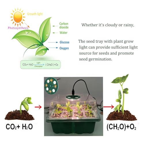 VDYXEW 5 Pack Propagator with Lights, Seed Trays, Seed trays with lids, Mini Greenhouse Propagator kit for Germination Growing