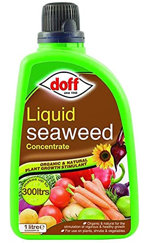 doff 1L Liquid Seaweed Concentrated Multi-Purpose Feed