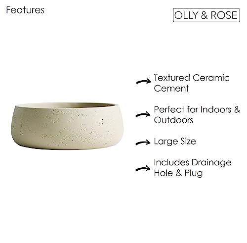 Olly & Rose Ivory Home Decor Ceramic Planter Bowl - Shallow Indoor and Outdoor Plant Pot - Decorative Flower Pot and Garden Bowl (28.5cm)