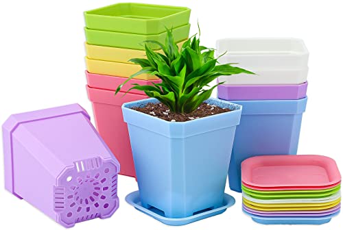 KINGLAKE 12Pcs 7cm Plastic Square Plant Pots with Trays, Thick Seed Seedling Pots, Small Coloured Nursery Flower Pots for Vegetables Cuttings Succulent Cacti Herbs