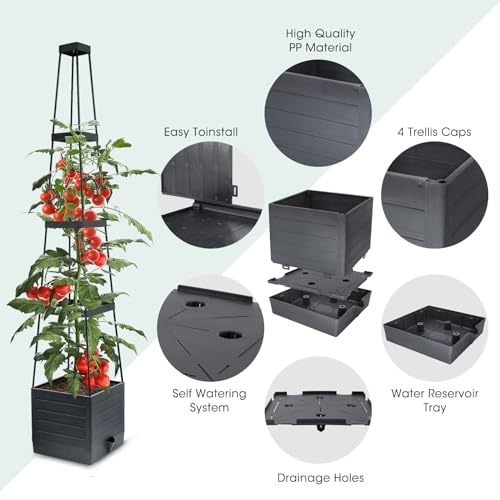 MYMULIKE Raised Garden Bed Planter Box with Trellis, Tomato Cage Planter, Raised Garden Bed with Trellis for Climbing Vegetables Plants Tomato Cage, Self-Watering, Indoor Outdoor Use (2pcs black)