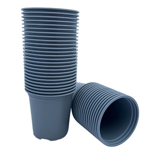 Bramley & Sage 9cm Grey Recycled Plastic Plant Pots (50)