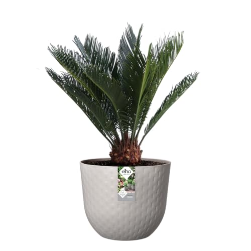 elho Fuente Grains Round 47 - Flower Pot for Indoor & Outdoor - Ø 46.5 x H 38.4 cm - Grey/Pebble Grey