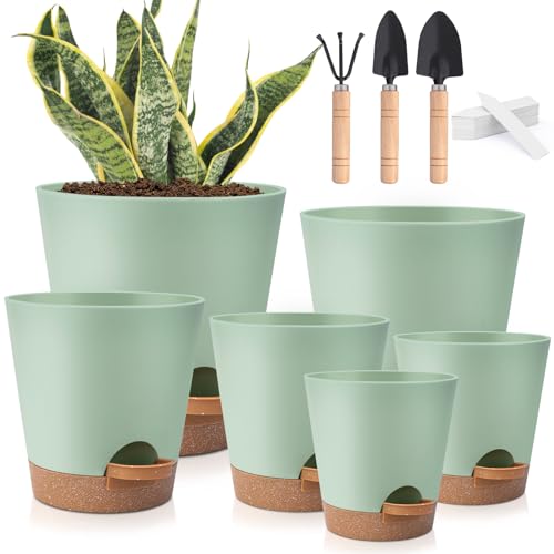 6-Pack Self-Watering Pots in Mixed Sizes
