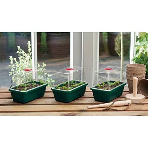 Britten & James Professional Mini Windowsill Propagators [Pack of 6]